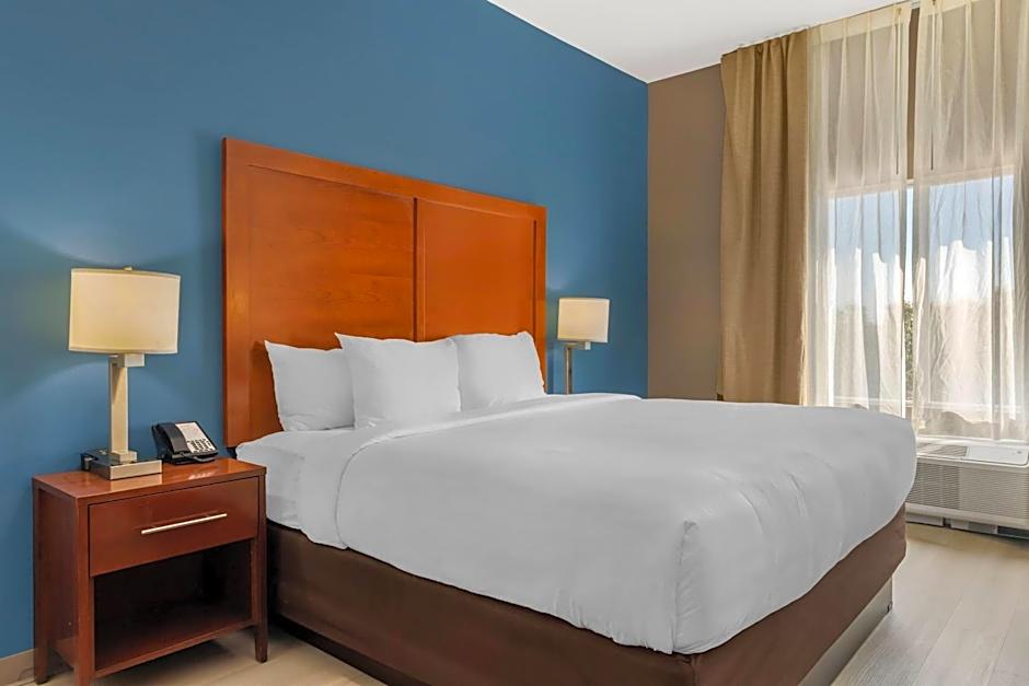 Comfort Inn & Suites Red Oak - Dallas Area