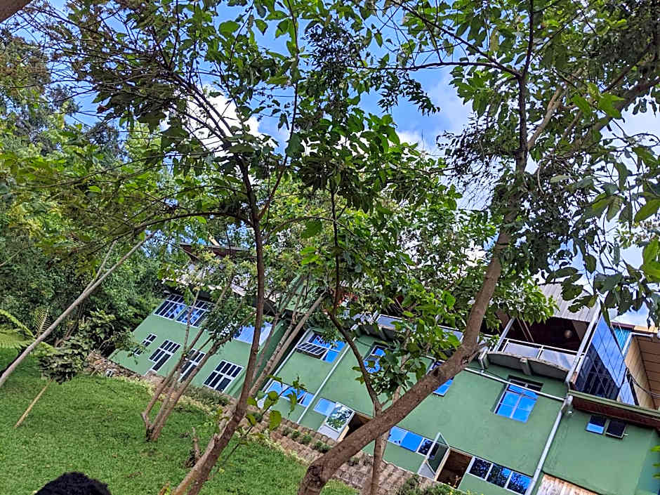 Chimpanzee Lodge