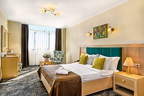 Double Standard Room with Danube View