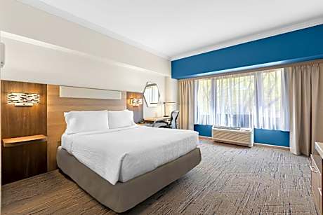 Double Room - Disability Access/Roll-In Shower