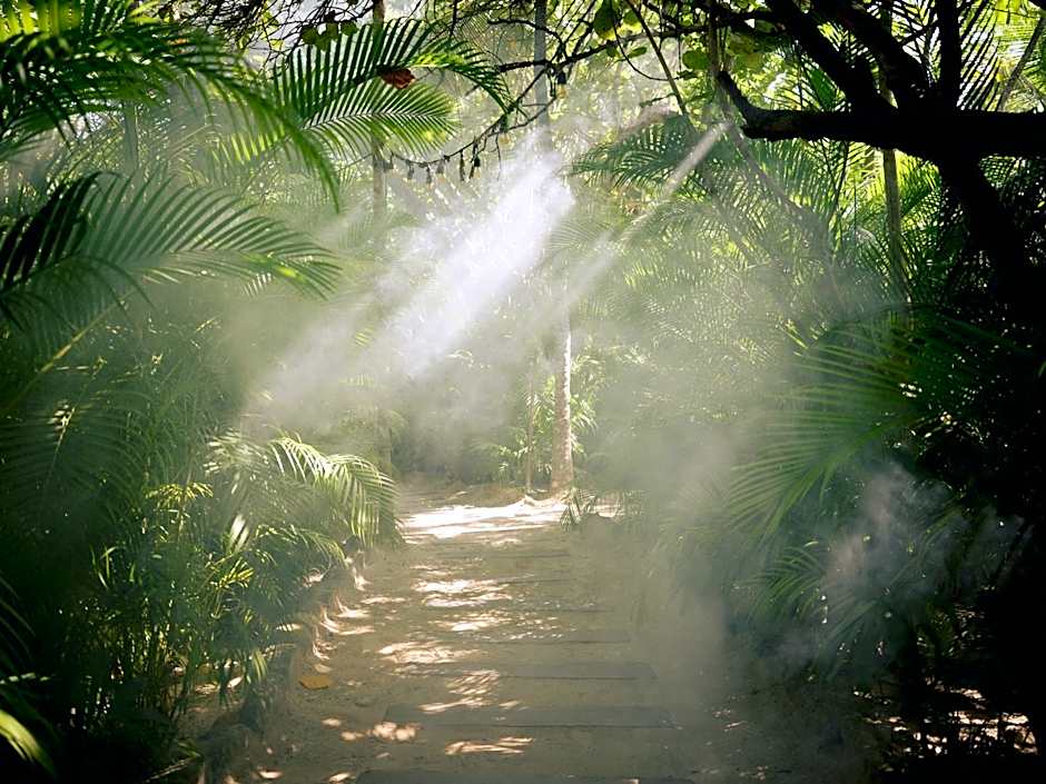 Foto 1 daripada 50 — Nomade Temple Tulum