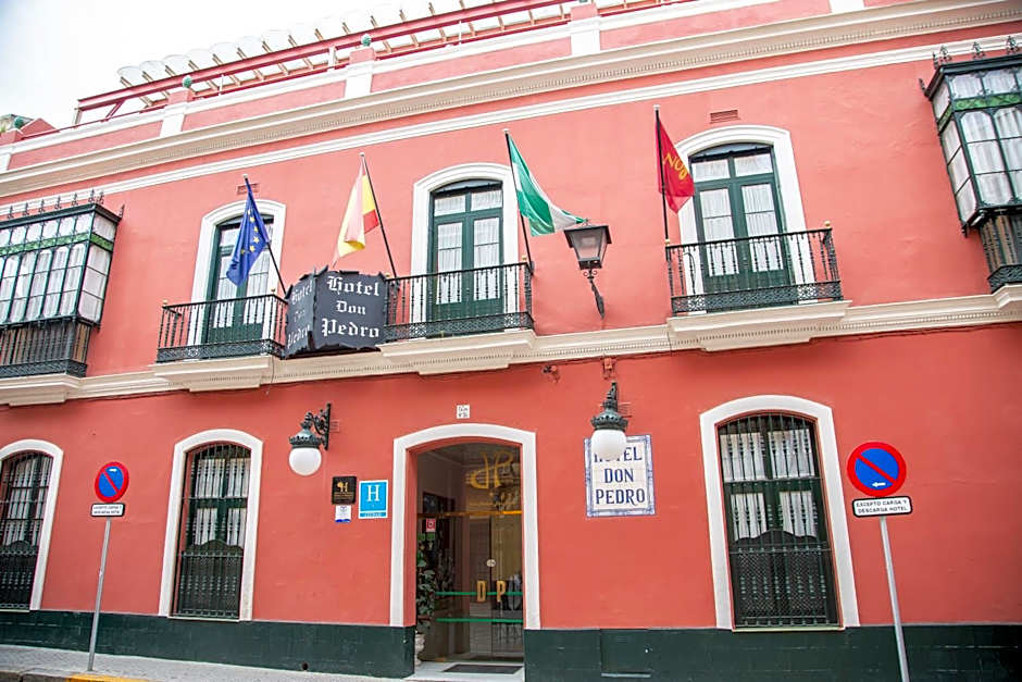 Casa Palacio Don Pedro