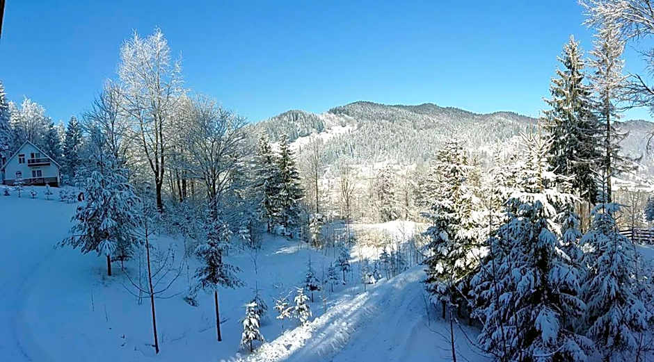 Șoaptele pădurii & Căsuța din pădure