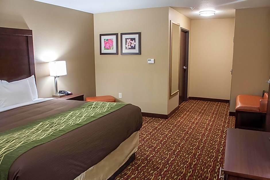 Comfort Inn & Suites Artesia