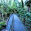 Linden Gardens Rainforest Retreat
