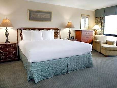 Business King Bed