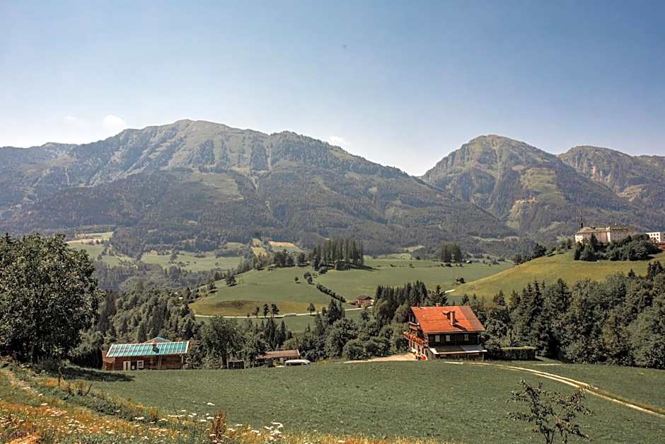 Hotel Metzgerwirt
