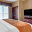 Comfort Suites Airport South