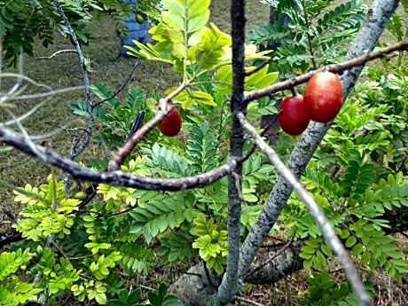 Rancho Rio Dourado, um paraíso!