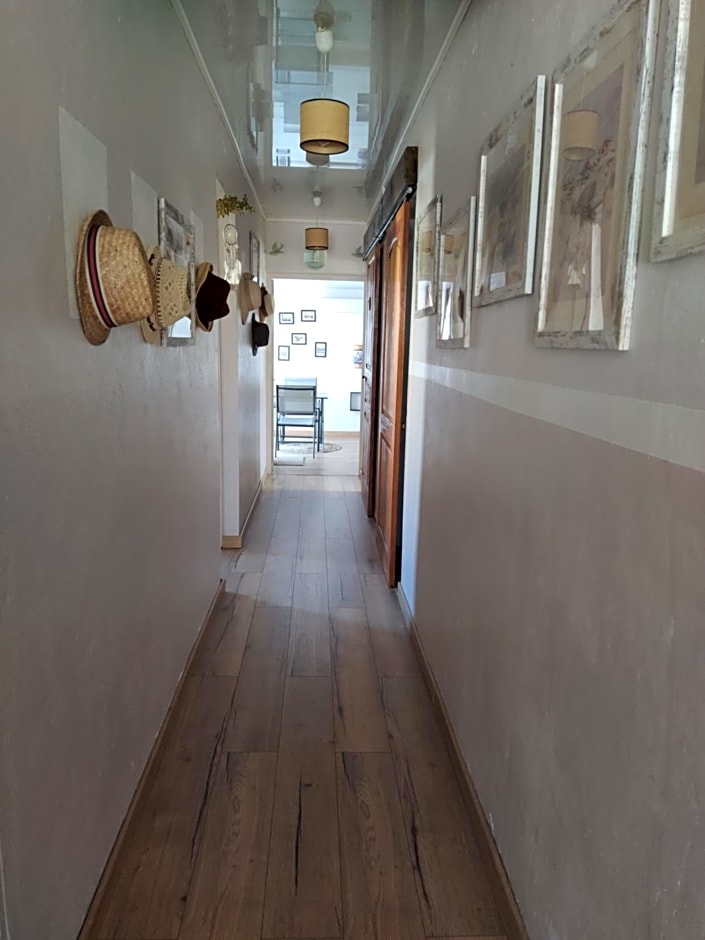 L'évidence St André