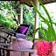 Bali Mountain Retreat