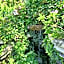 La petite maison du jardin d'Apollon
