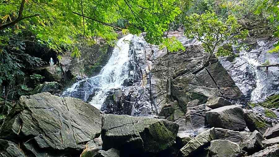 Apartamentos Hotel Marinas