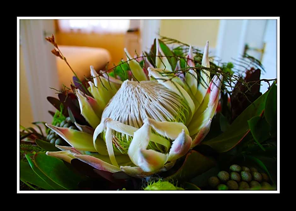 La Fontaine Guest House Hermanus