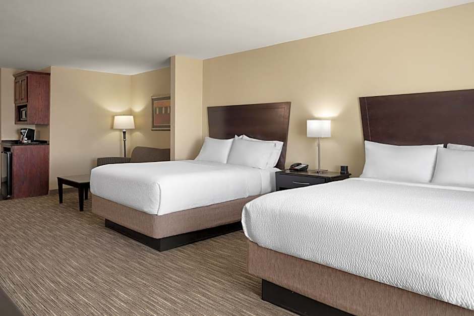 Holiday Inn Express and Suites Snyder By IHG