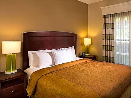Suite King Bed Non Smoking
