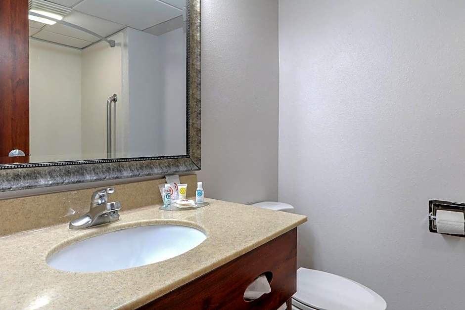 Comfort Inn & Suites At Dollywood Lane