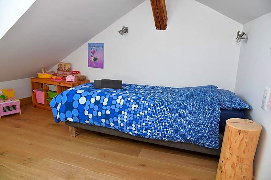 Au Cheval Blanc - appartements et chambres d'hôtes