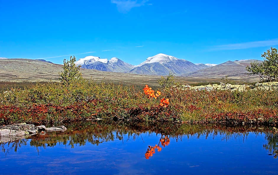 Thon Partner Hotel Otta