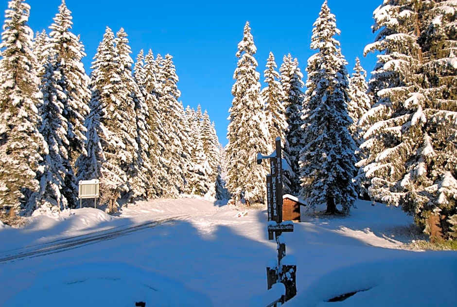 Hôtel Chalet Le Caribou