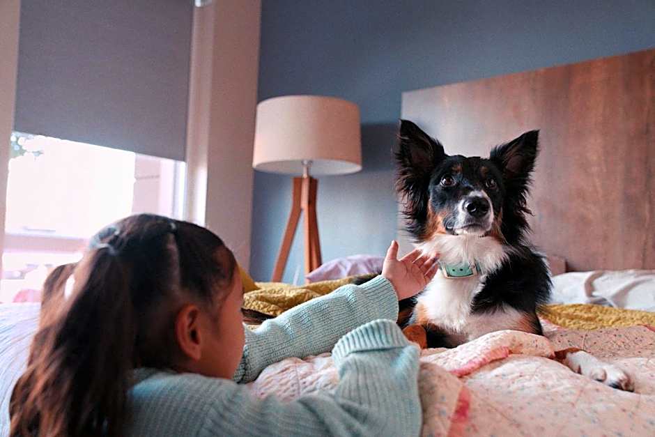 Extended Stay America Select Suites - Springdale