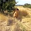 Ferme de la Combe - The Goldy's Farm