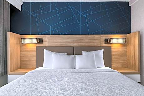 Suite, 1 King Bed with Sofa bed (1 King Bed and 1 Double Sofa Bed)