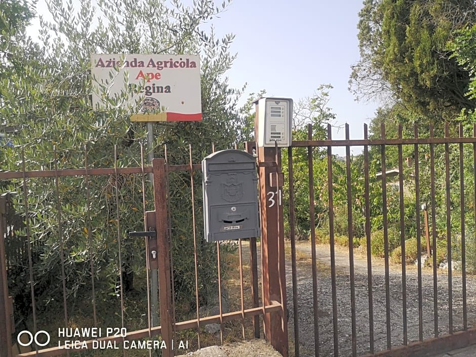 Ape Regina agriturismo 2 Montelarco