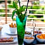 Zen Hotel Versilia