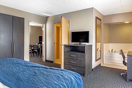King Suite with Transfer Shower - Accessible/Non-Smoking