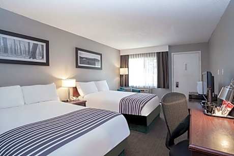 Standard Room, 2 Double Beds