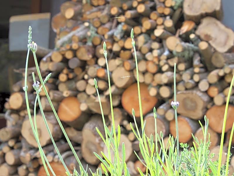 Blackwaters River Lodge