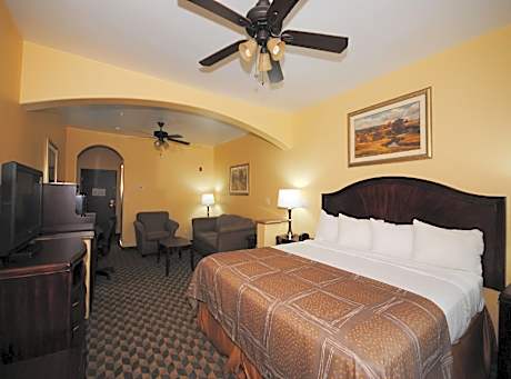 SUITE-1 KING BED,NSMK,32 IN LCD TV,SOFABED,HISPD,MICFRG,FULL BREAKFAST