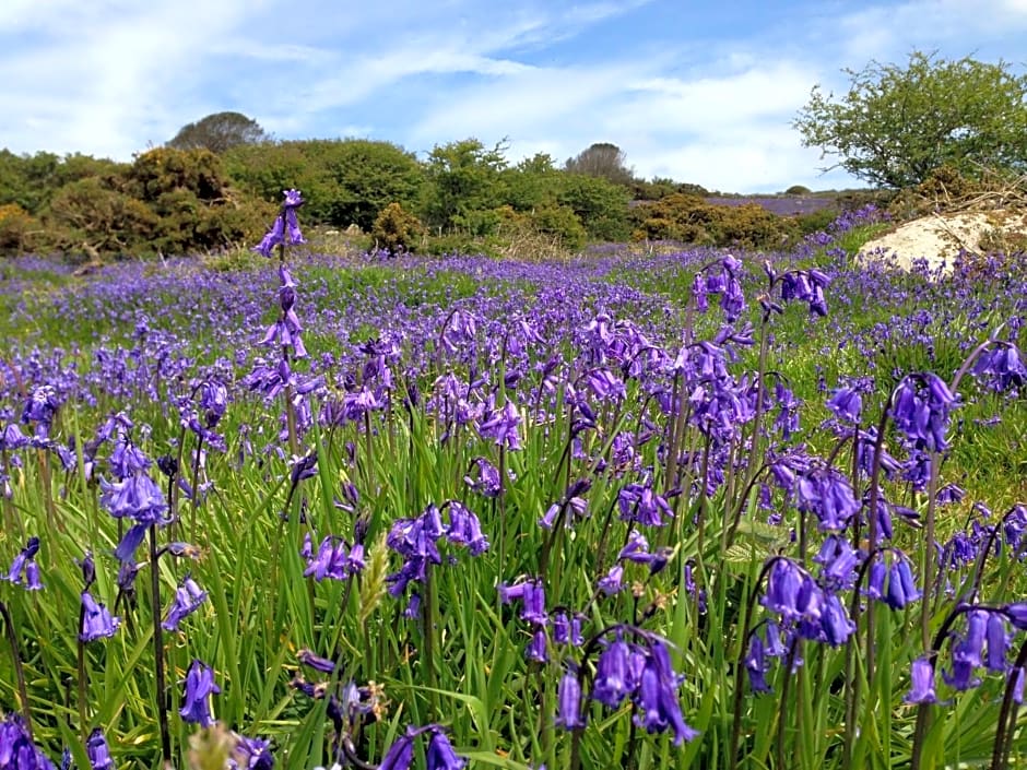 Lower Crankan Farm – Penzance