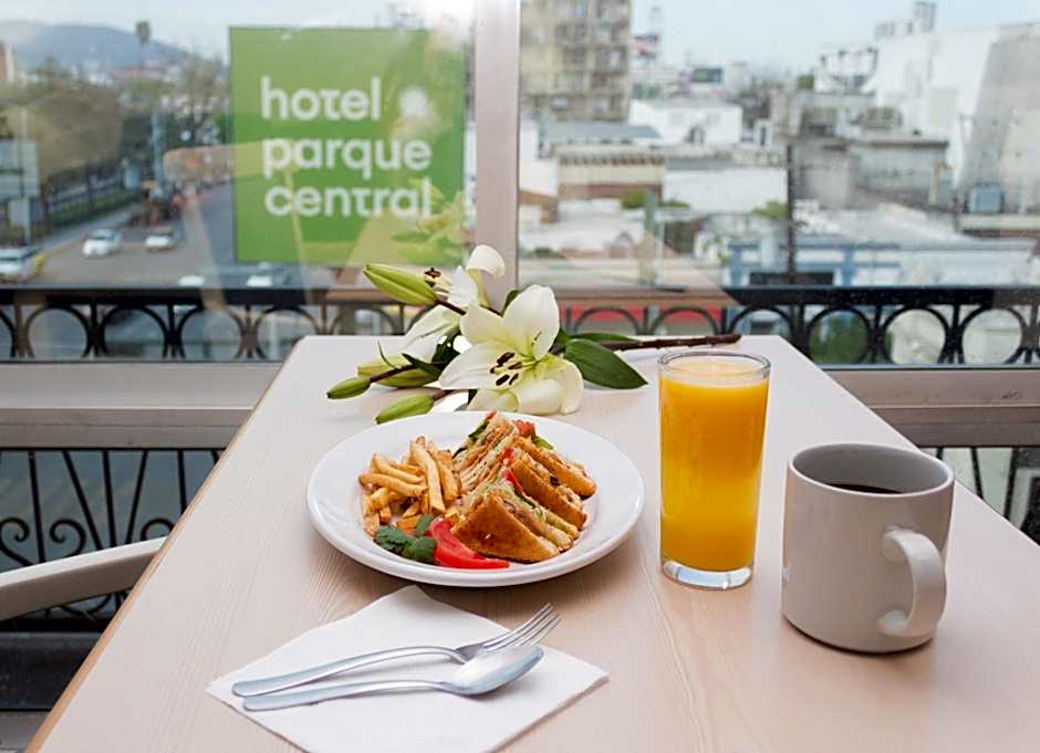 Hotel Parque Central