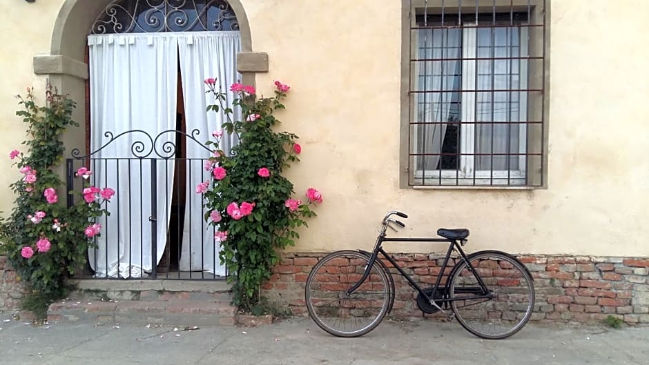 B&B La casa dei prugni