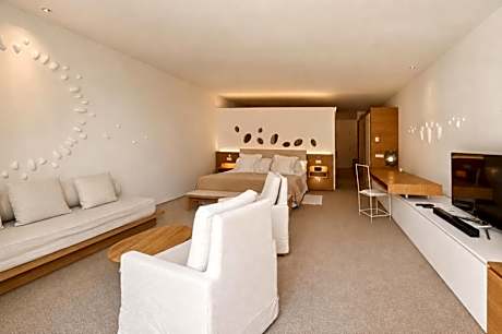 Luxury Suite