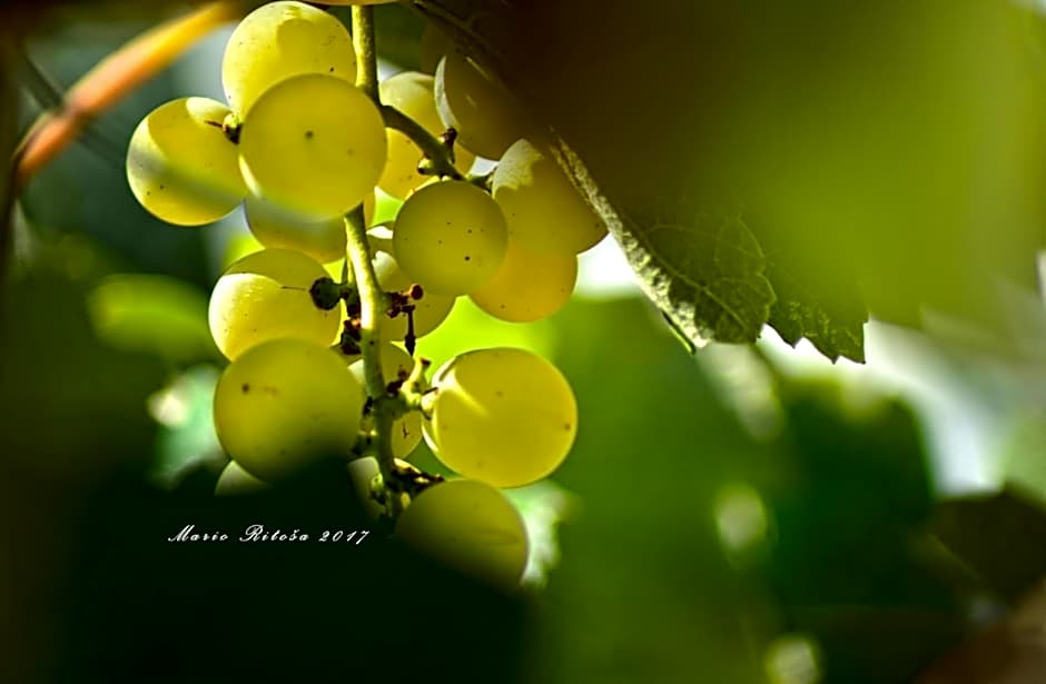 Hotel Cateski Dvorec