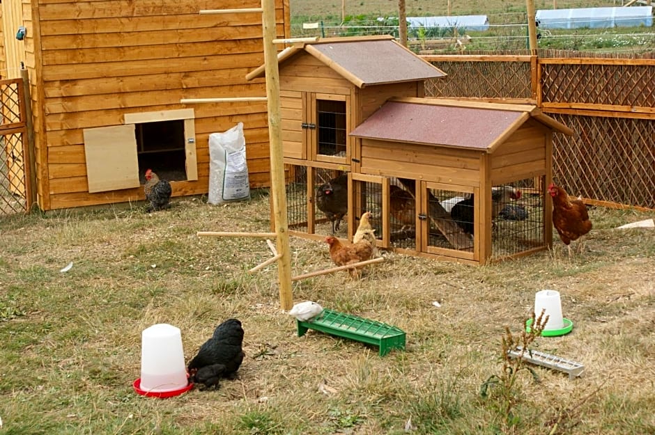 Cary Fitzpaine House