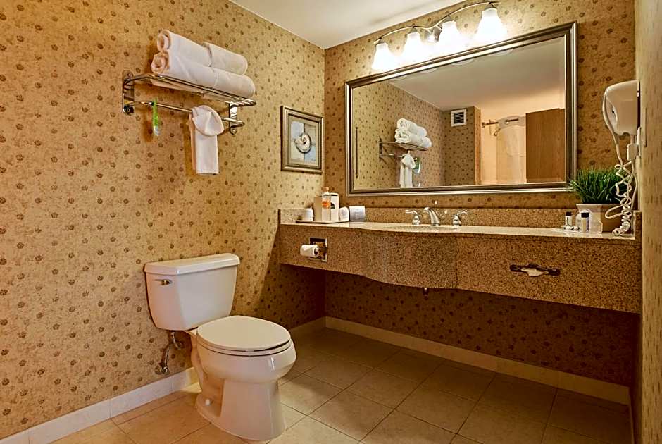 Wingate by Wyndham Chihuahua