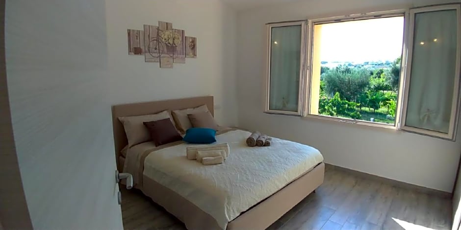 B&B Hibiscus