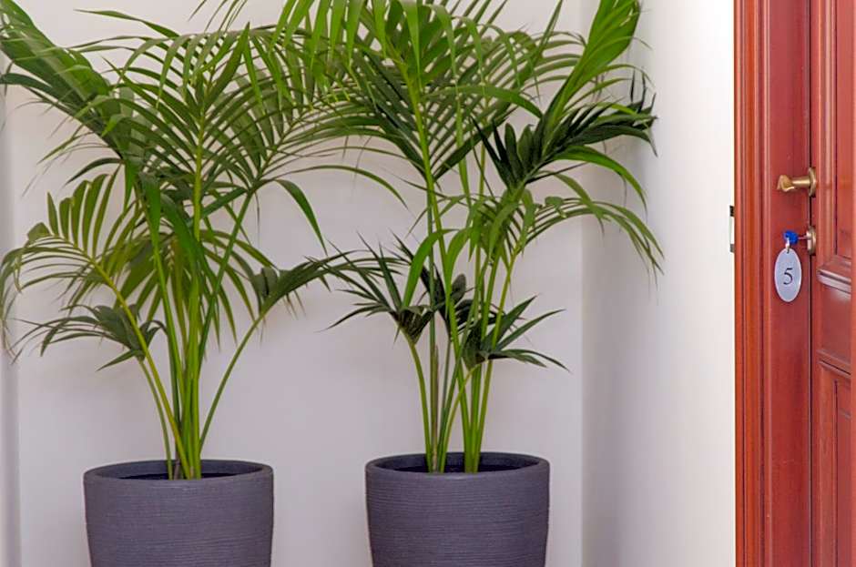 Panoramica dei Templi B&B