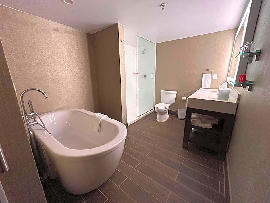 Skyline Hotel Detroit Airport, SureStay Collection by Best Western