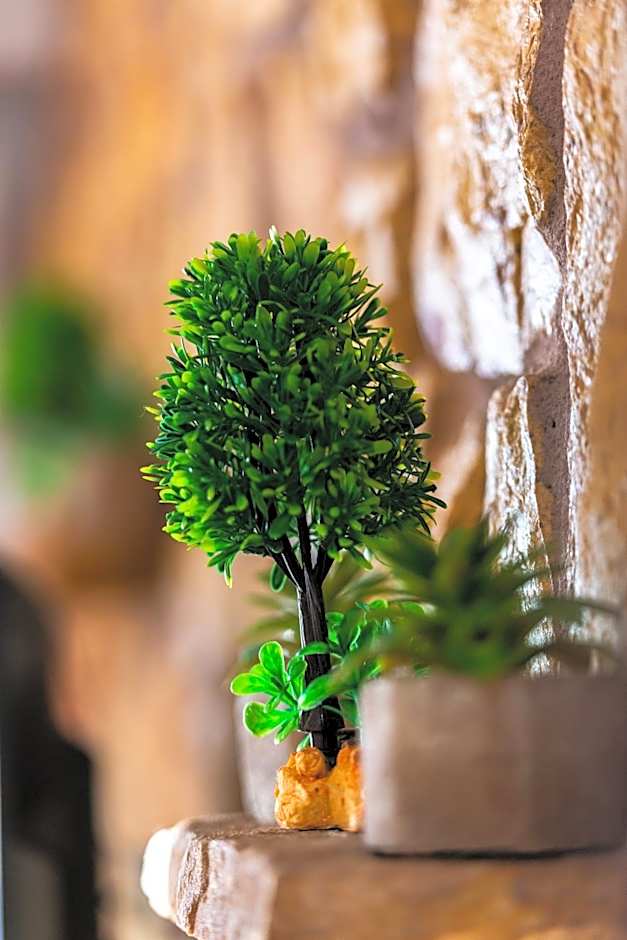 La Moara Boutique Hotel