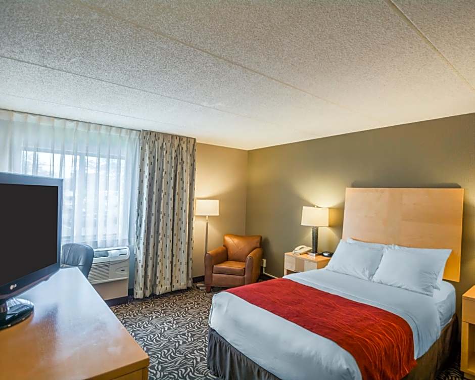 Comfort Inn Fairgrounds