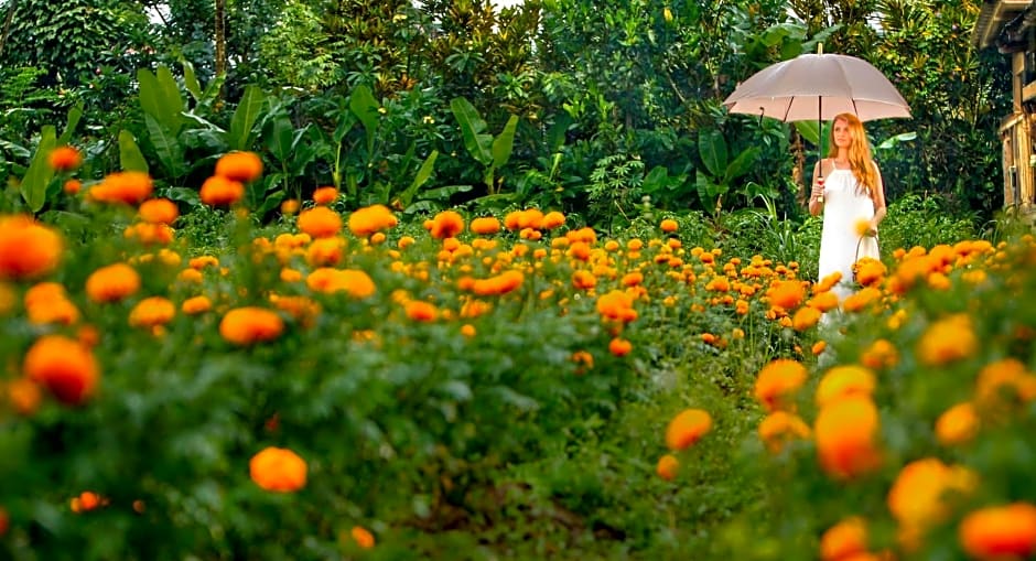 Nandini Jungle by Hanging Gardens