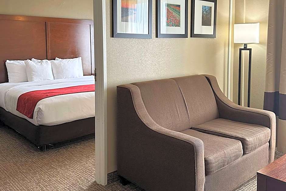 Comfort Suites Airport
