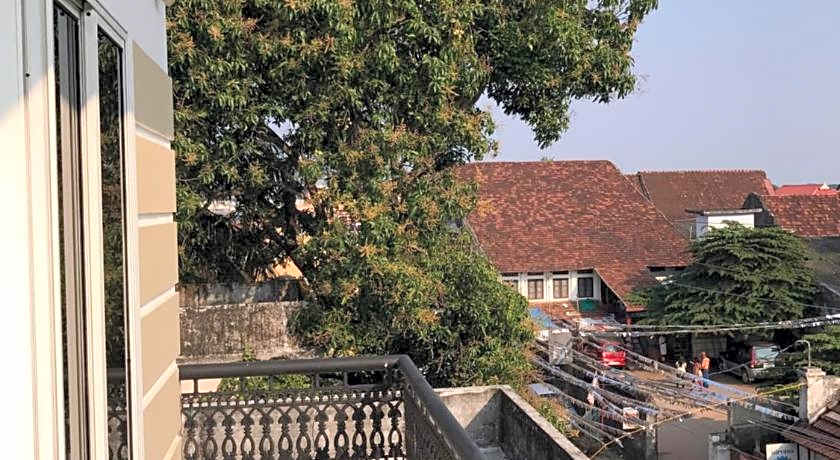 Daffodils Spice Court