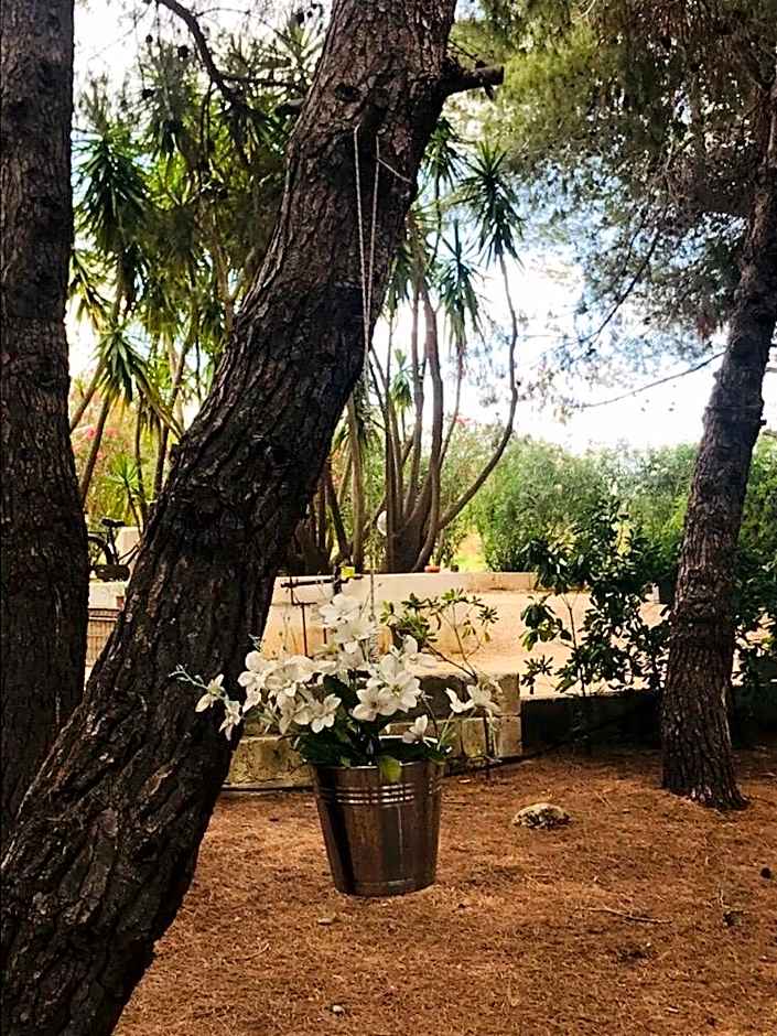 A CASA NOSCIA - BB SAN PIETRO IN BEVAGNA Charming house