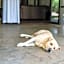 Upington African Vineyard Boutique Hotel & SPA